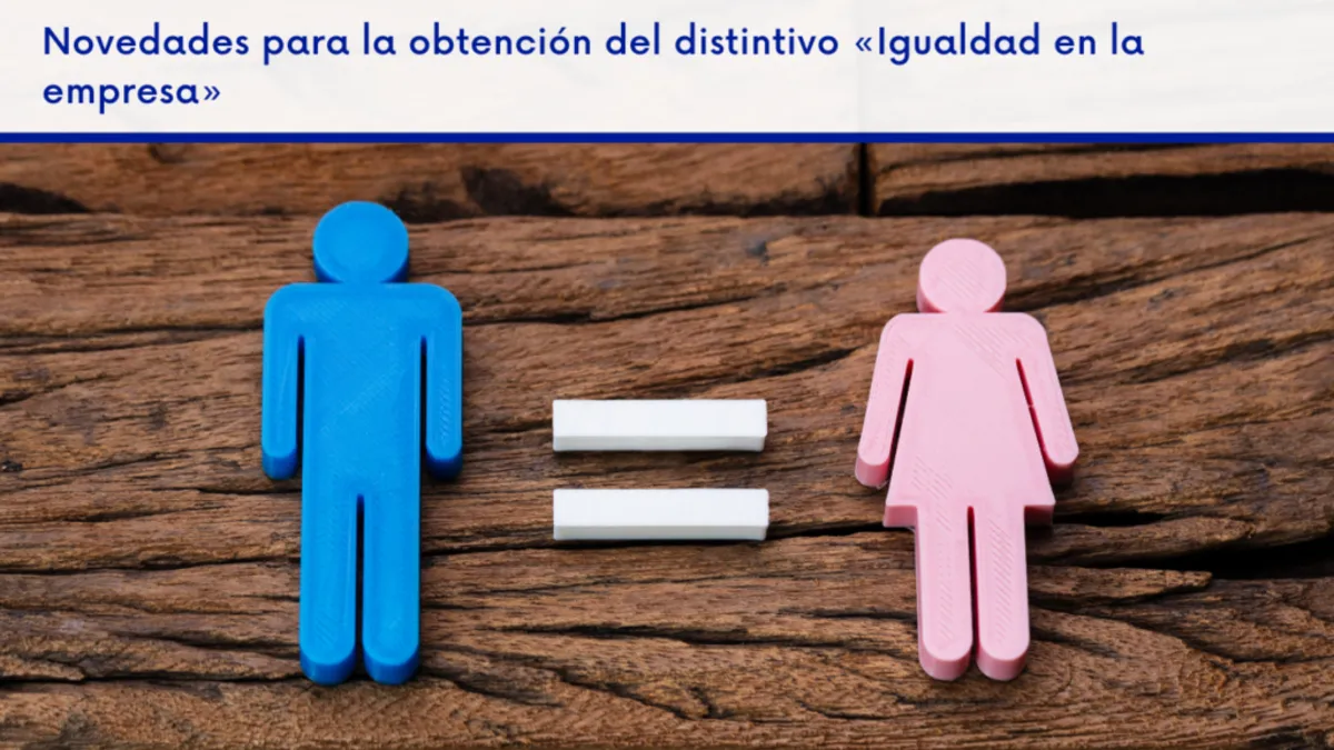 Consulta, Asesor, Laboral, Empleo, Trabajo, Empresa, Iurislab Consulting, Igualdad, Plan de igualdad, Perspectiva de género, Real Decreto Ley, Discriminación