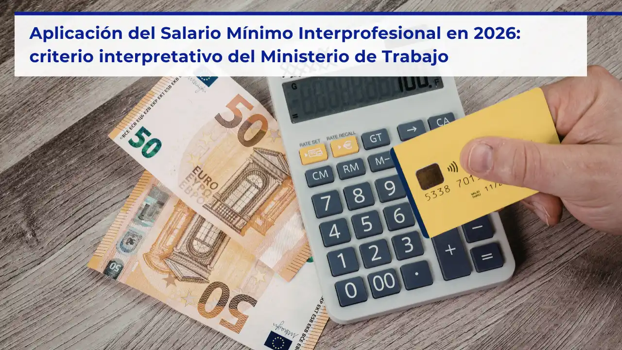 aplicación salario mínimo interprofesional