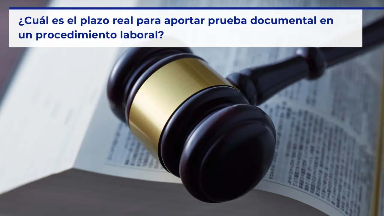 plazo procedimiento laboral